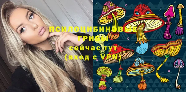 стафф Бронницы