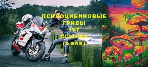 стафф Бронницы