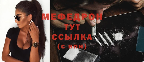 крисы Бородино