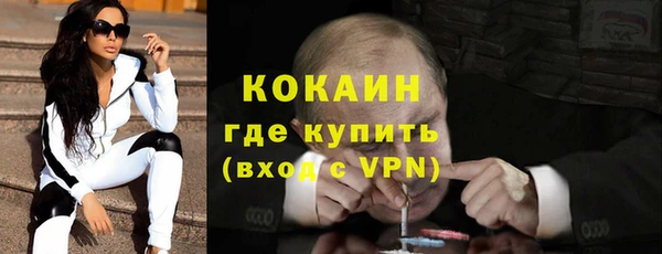 крисы Бородино