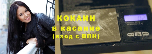 крисы Бородино