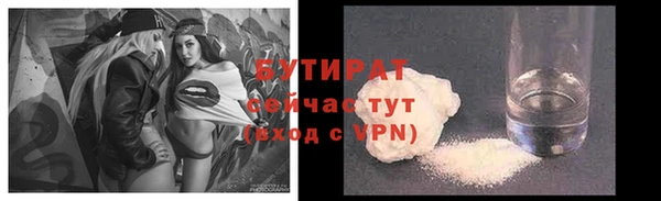 крисы Бородино
