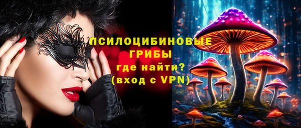 крисы Бородино
