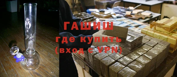крисы Бородино