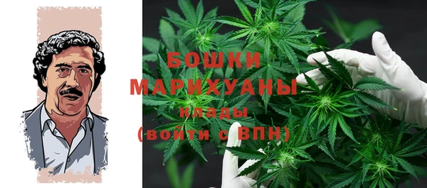 крисы Бородино