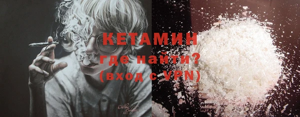 крисы Бородино