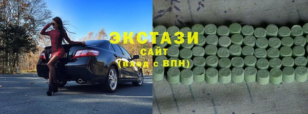 крисы Бородино