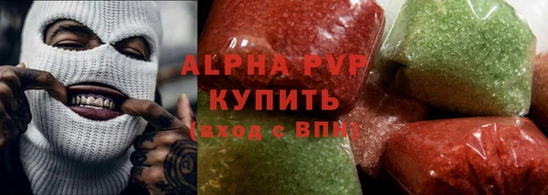 крисы Бородино