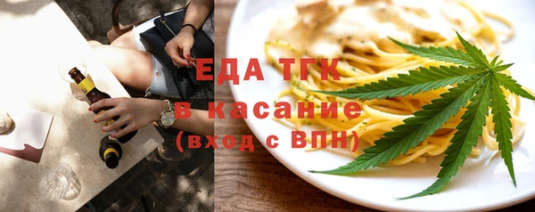 крисы Бородино