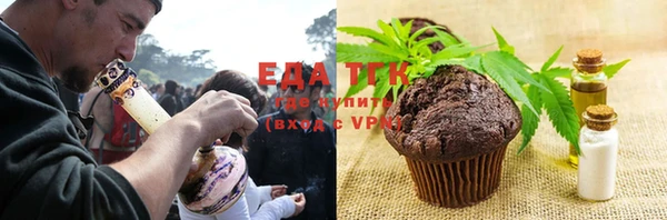 крисы Бородино