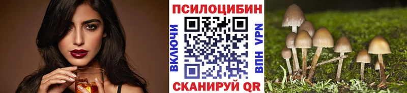 площадка Telegram  Берёзовка  omg   Галлюциногенные грибы Psilocybine cubensis  купить наркоту 