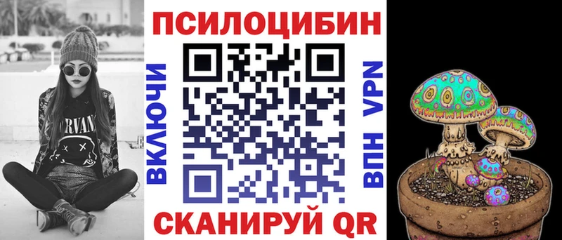 Псилоцибиновые грибы Psilocybine cubensis Берёзовка